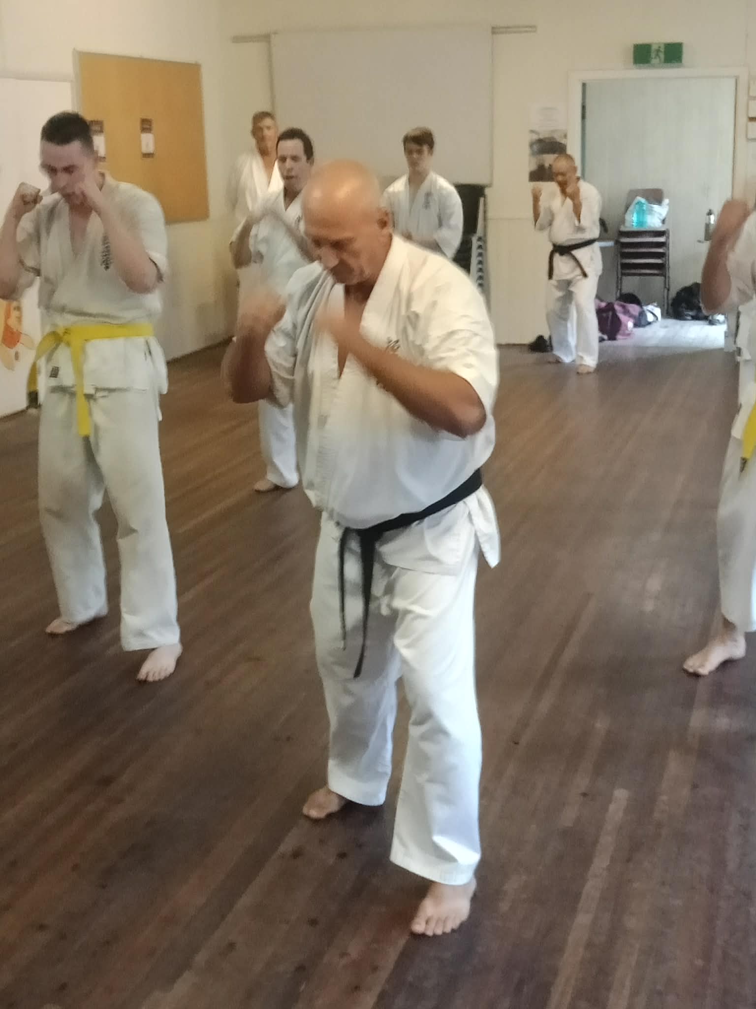 Karate class practicing strikes and footwork together